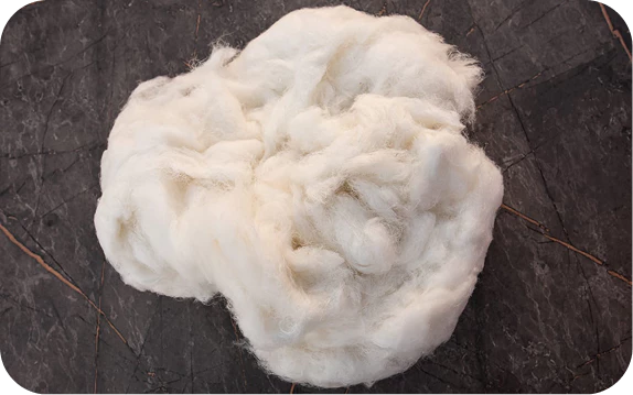 Honeyview_IMG-20251118-WA0017 3